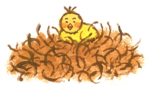 タイトル